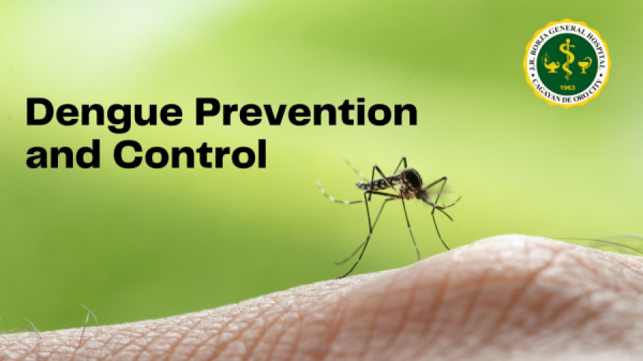 Dengue Fever Prevention and Control