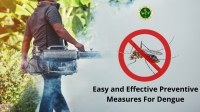 Easy and Effective Preventive Measures for Dengue